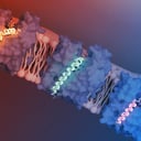 Az áttörés, amely padlóra küldi a szuperbaktériumokat