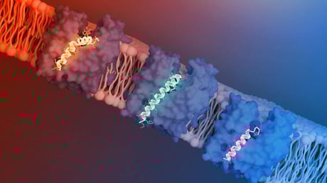 Az áttörés, amely padlóra küldi a szuperbaktériumokat