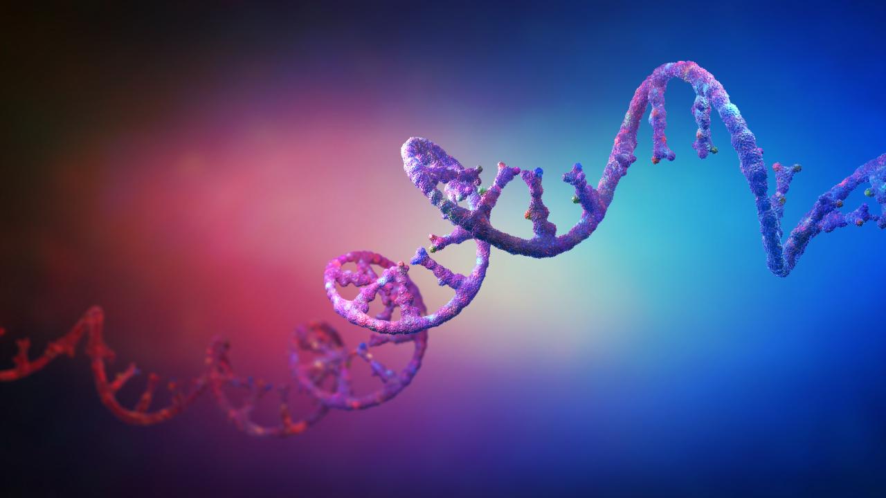 Az áttörés küszöbén: génterápia ad reményt Dravet-betegeknek