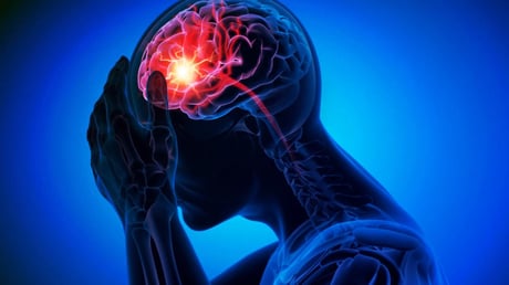 Az édesítőszer, amely észrevétlenül veszélyezteti az agyad egészségét