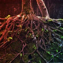 Az élet nagy dobása: amikor a növények partra szálltak