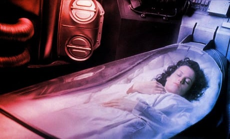 Az első egéragy, amelyet fagyasztás után sikerült újraéleszteni