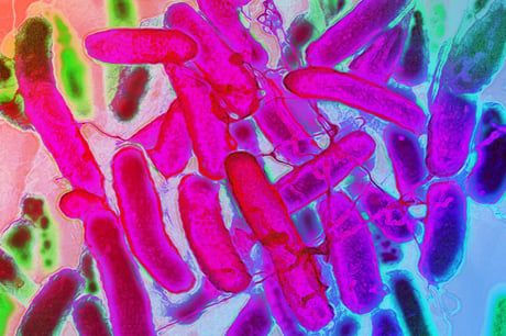 Az első gyerekeknek szánt E. coli-vakcina áttörést hoz