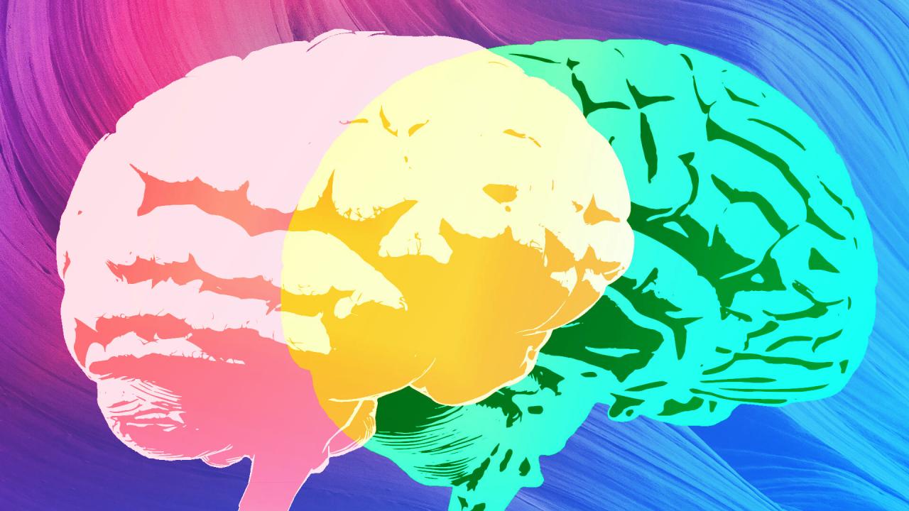 Az Expert Review, a Grammarly nagy blöffje: szakértők nélkül