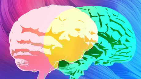 Az Expert Review, a Grammarly nagy blöffje: szakértők nélkül