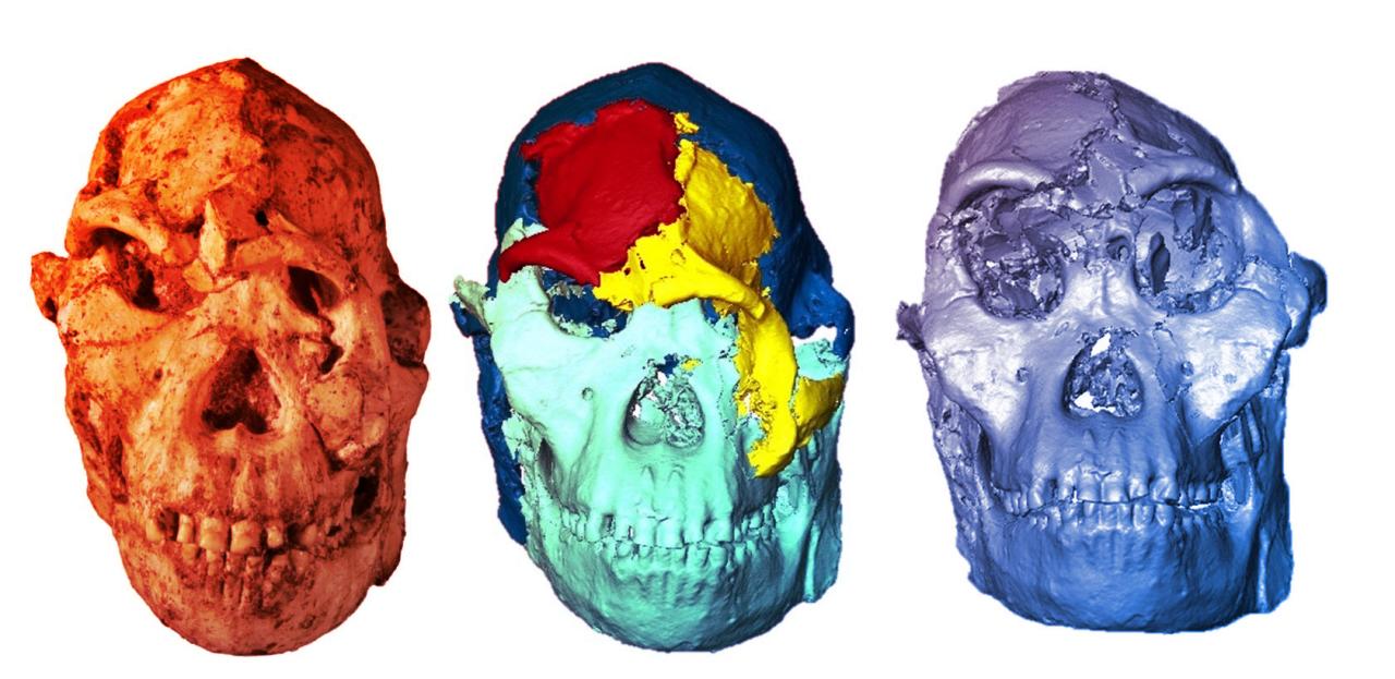 Az igazi Little Foot arca: így festett 3,7 millió éve