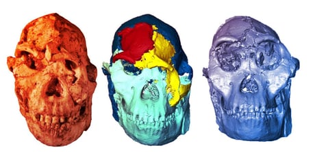 Az igazi Little Foot arca: így festett 3,7 millió éve