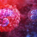 Az immunsejt, ami végre feltárhatja a hosszú COVID titkát