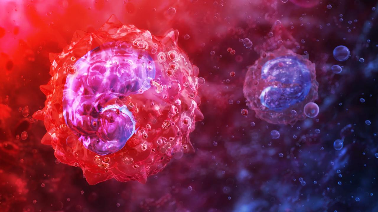 Az immunsejt, ami végre feltárhatja a hosszú COVID titkát