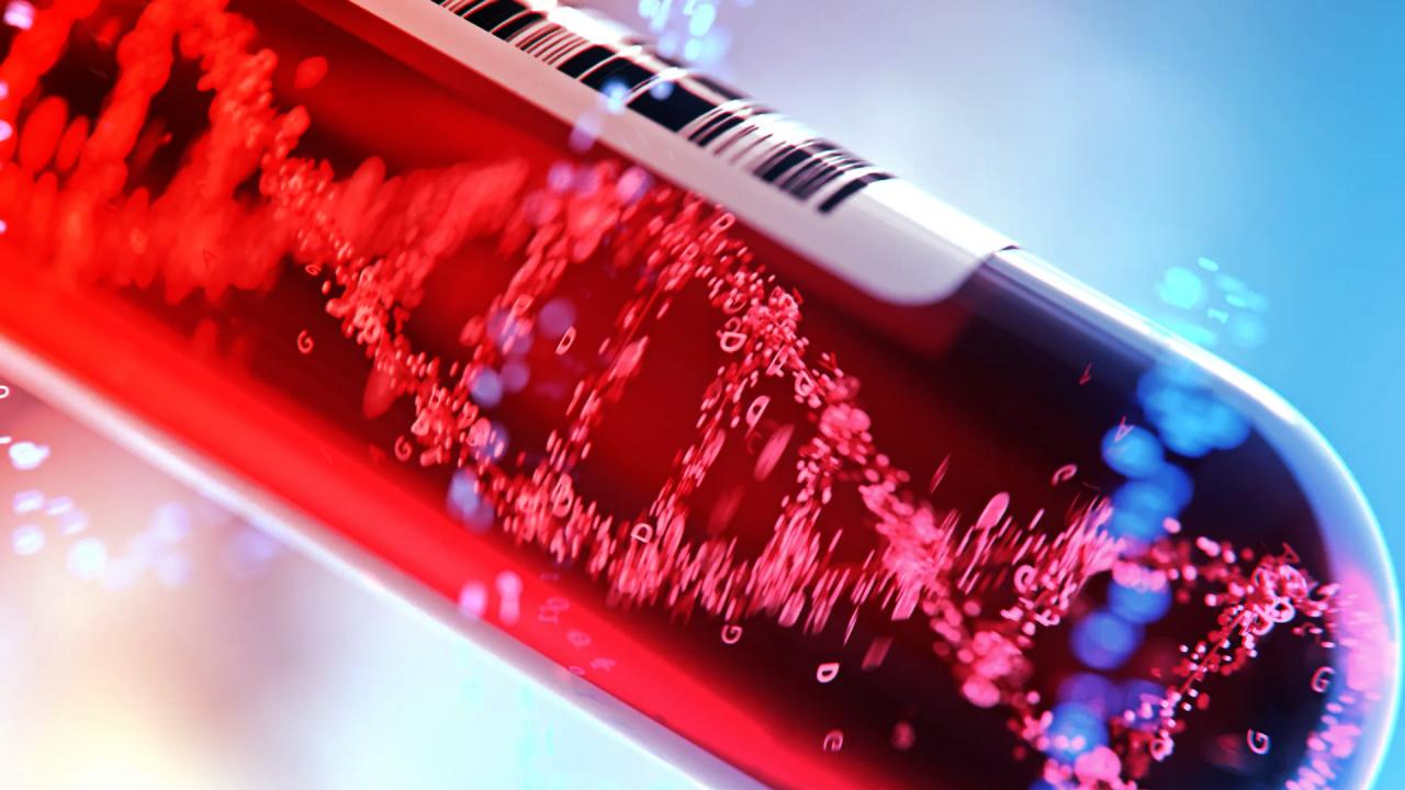 Az MI áttörése: vérvizsgálattal a korai májbetegség nyomában