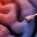 Az MI olvas a fejünkben: félelmetes vagy korszakalkotó?