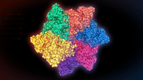 Az óceán mélyének titkos fegyverei: szuperdiagnosztikus fehérjék