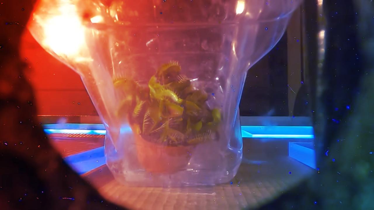 Az ördögi légycsapó túljár a részecskegyorsító eszén