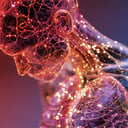 Az öregedés térképe: hétmillió sejt titkai tárulnak fel