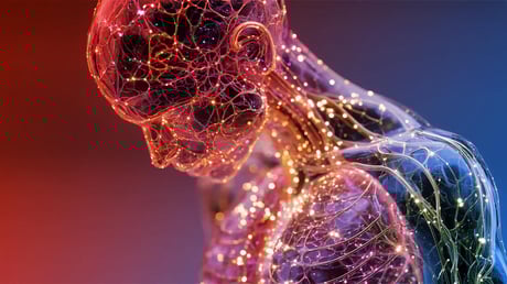 Az öregedés térképe: hétmillió sejt titkai tárulnak fel