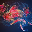 Az öregedő agy: amikor a gének elszabadulnak