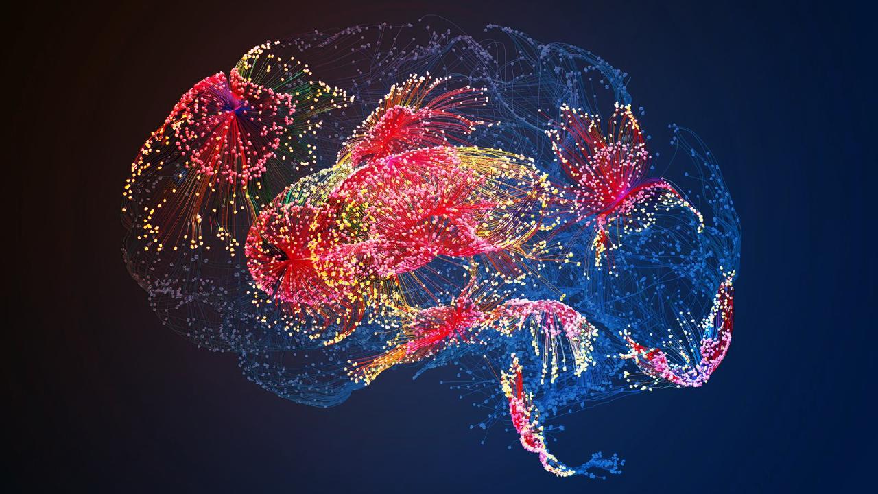 Az öregedő agy: amikor a gének elszabadulnak