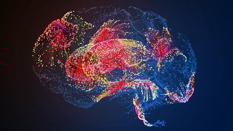 Az öregedő agy: amikor a gének elszabadulnak