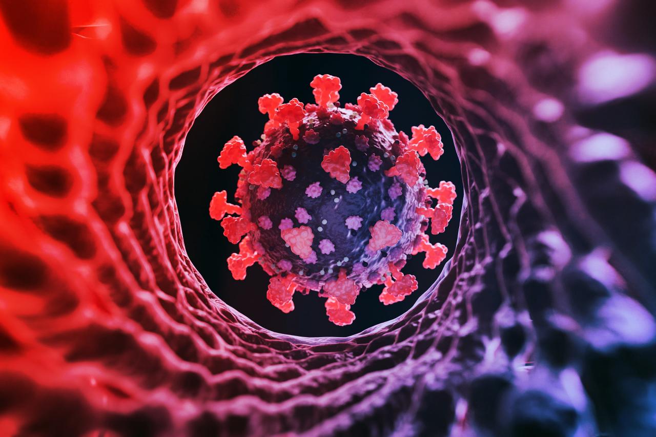 Az új Cicada-variáns: tényleg van okunk aggódni?