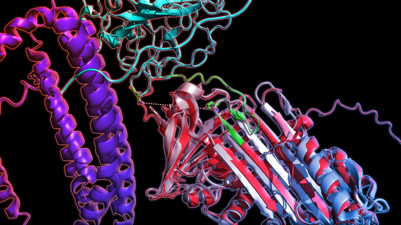 Az új vérteszt forradalmasíthatja az Alzheimer korai felismerését