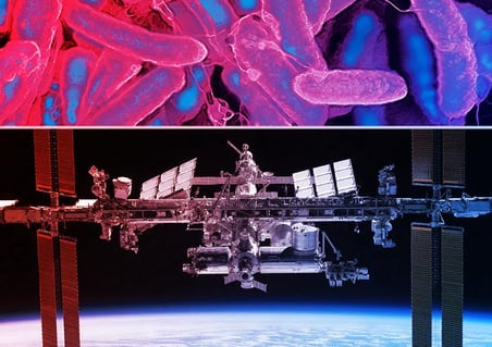 Az űrutazás felturbózza a vírusokat: veszélyesebb baktériumirtók jönnek a világűrből