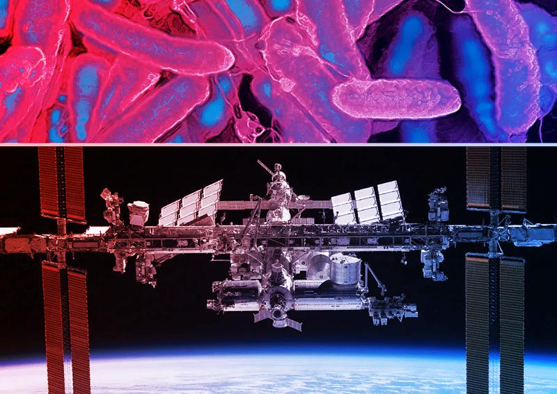 Az űrutazás felturbózza a vírusokat: veszélyesebb baktériumirtók jönnek a világűrből