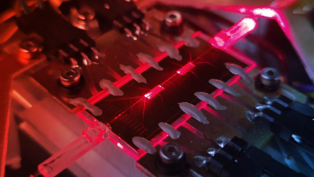 Az üvegbe gravírozott chip áttöri a kvantumbiztonság korlátait