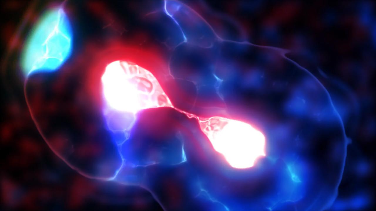 Lehullt a lepel az élesztő miniatűr centroméráinak titkáról