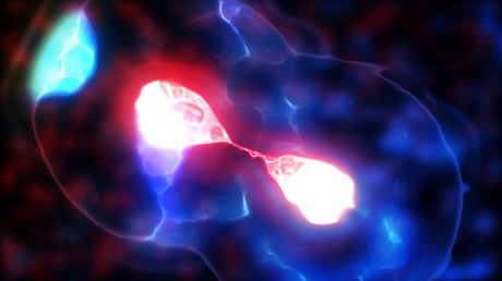 Lehullt a lepel az élesztő miniatűr centroméráinak titkáról