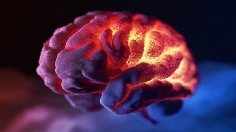 A bélflóra rejtheti a depresszió titkos kulcsát