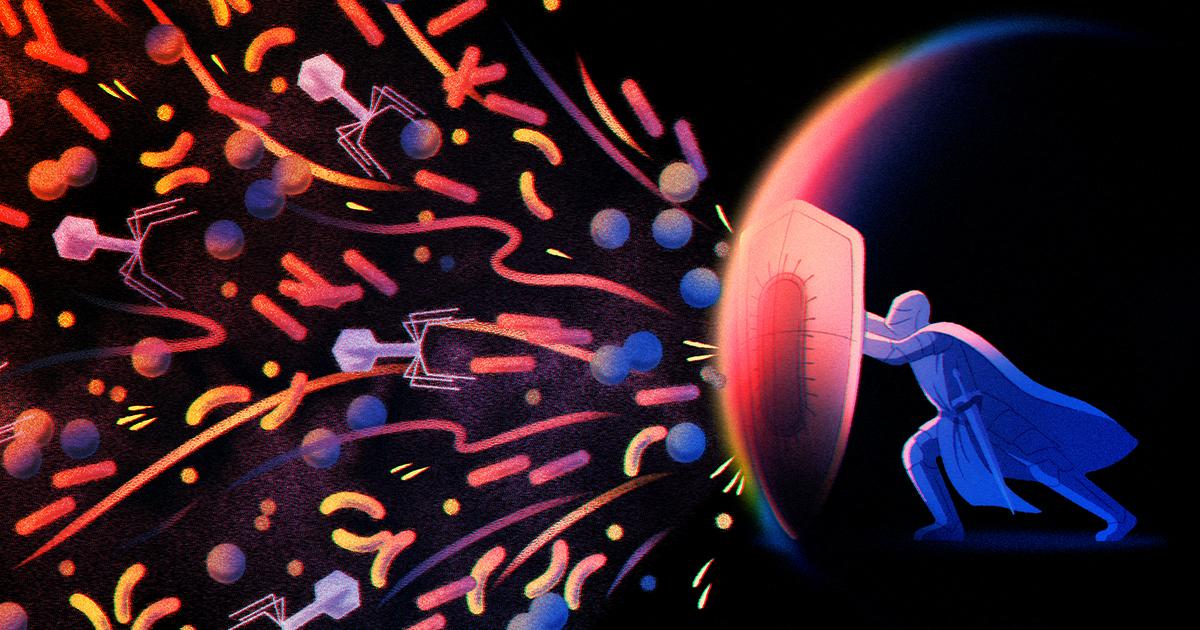 A benned zajló mikrobaháború: az immunrendszer ősi fegyverei