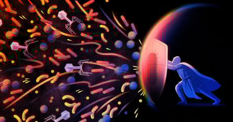 A benned zajló mikrobaháború: az immunrendszer ősi fegyverei