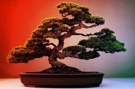 A Bonsai 1 bites modellje kiszabadíthatja az MI-t a felhő fogságából