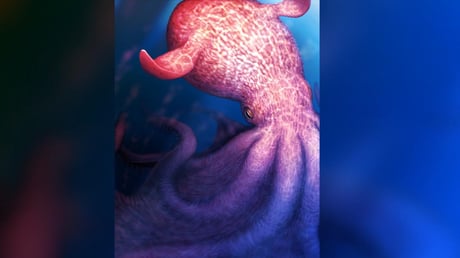 A dínók korának tengereit az óriáspolipok uralták