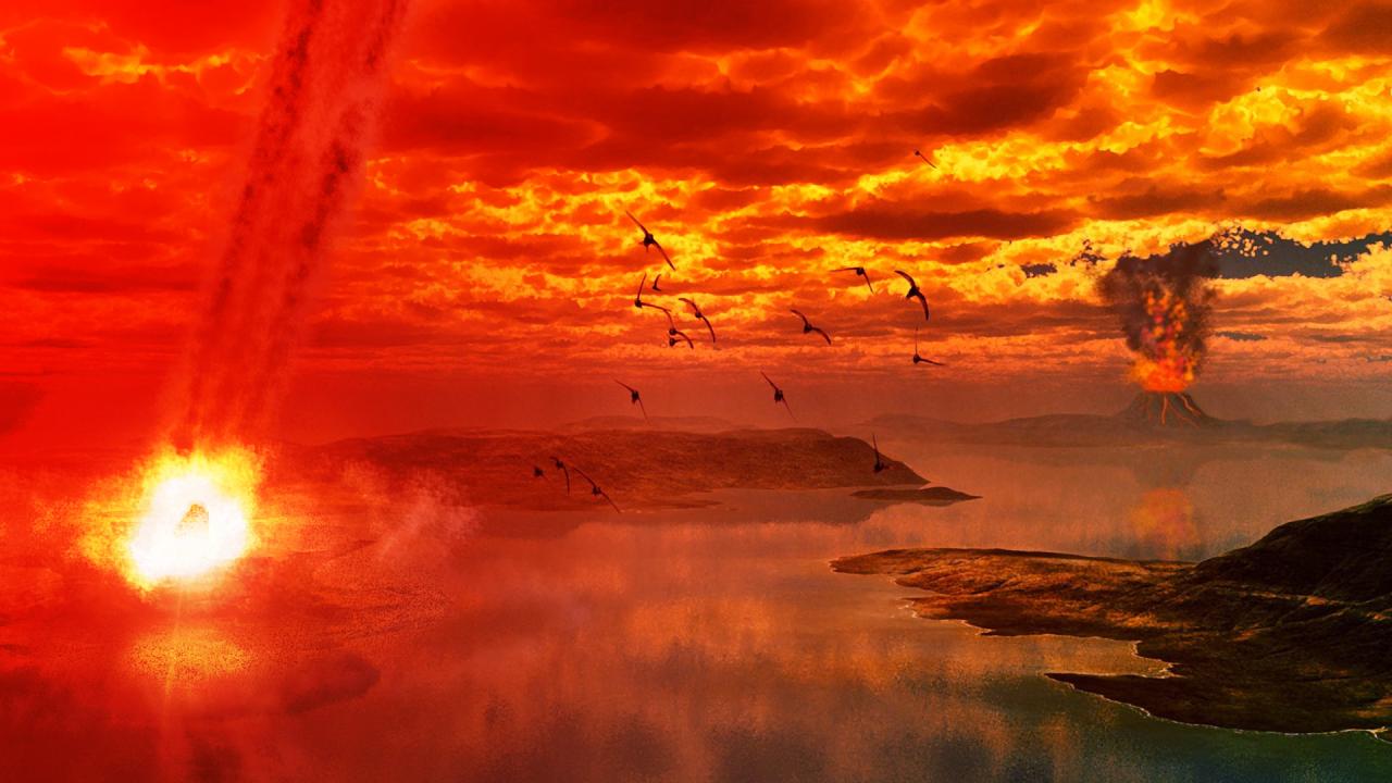 A Föld igazi túlélői: a dinoszauruszkor óta velünk élő madarak