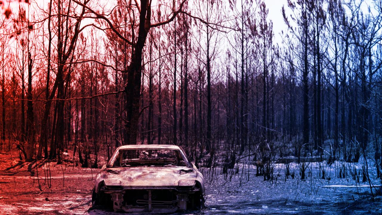 A megállíthatatlan zöld forradalom: merre tart a bolygónk?