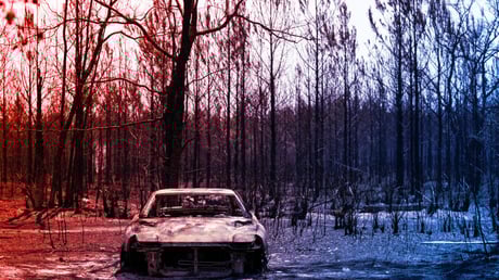 A megállíthatatlan zöld forradalom: merre tart a bolygónk?