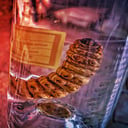 A mezcalos üveg alján lapuló „féreg” valódi titka