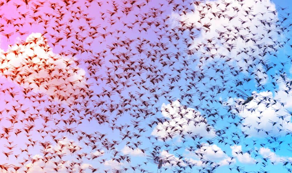 A nagy Microsoft-frissítés káoszt hozott: sorra jönnek a hibák