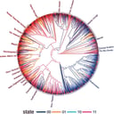 A nyelv rejtett törvényei: meghökkentő mintázatok a világban