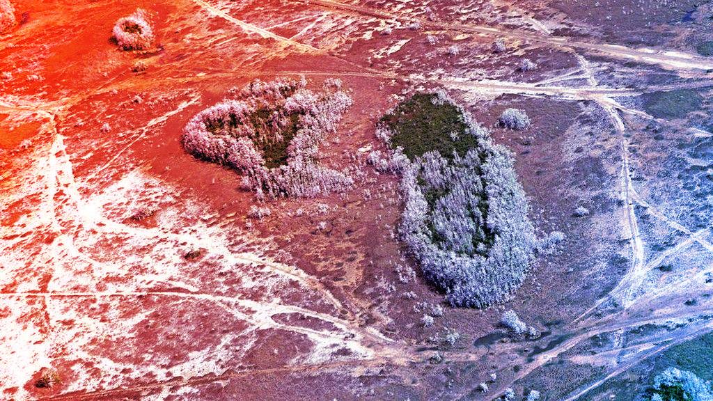 A példátlan aszály szorongatja Floridát – meddig tart a válság?