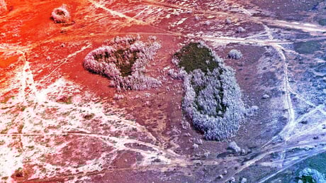 A példátlan aszály szorongatja Floridát – meddig tart a válság?