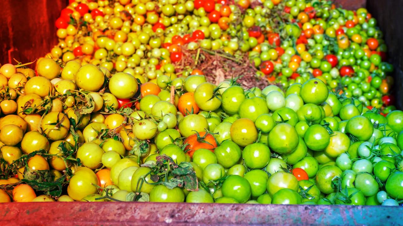 A rendszer, amely megállítja az ételt: eltűnő kamionok nyomában