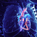 A szívritmus lehet a kulcs a rák terjedésének megállításához