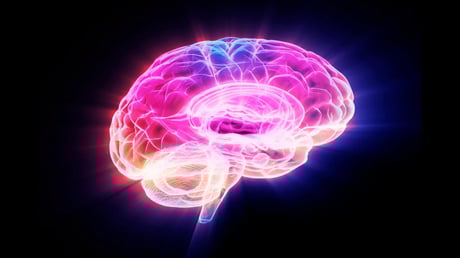 Az agy öregedését fékező új fehérje áttörést hoz a memóriában