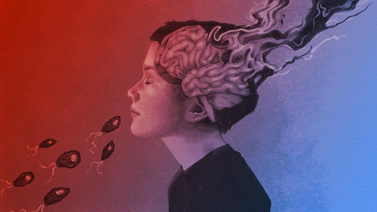 Az agyevő amőba tombol – Jön végre a fordulat?