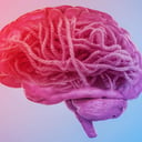 Az Alzheimer-botrány: zsákutcába futott az amiloid-elmélet?