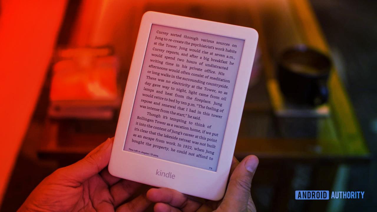 Az Amazon kivégzi a régi Kindle-öket, a felhasználók visszavágnak