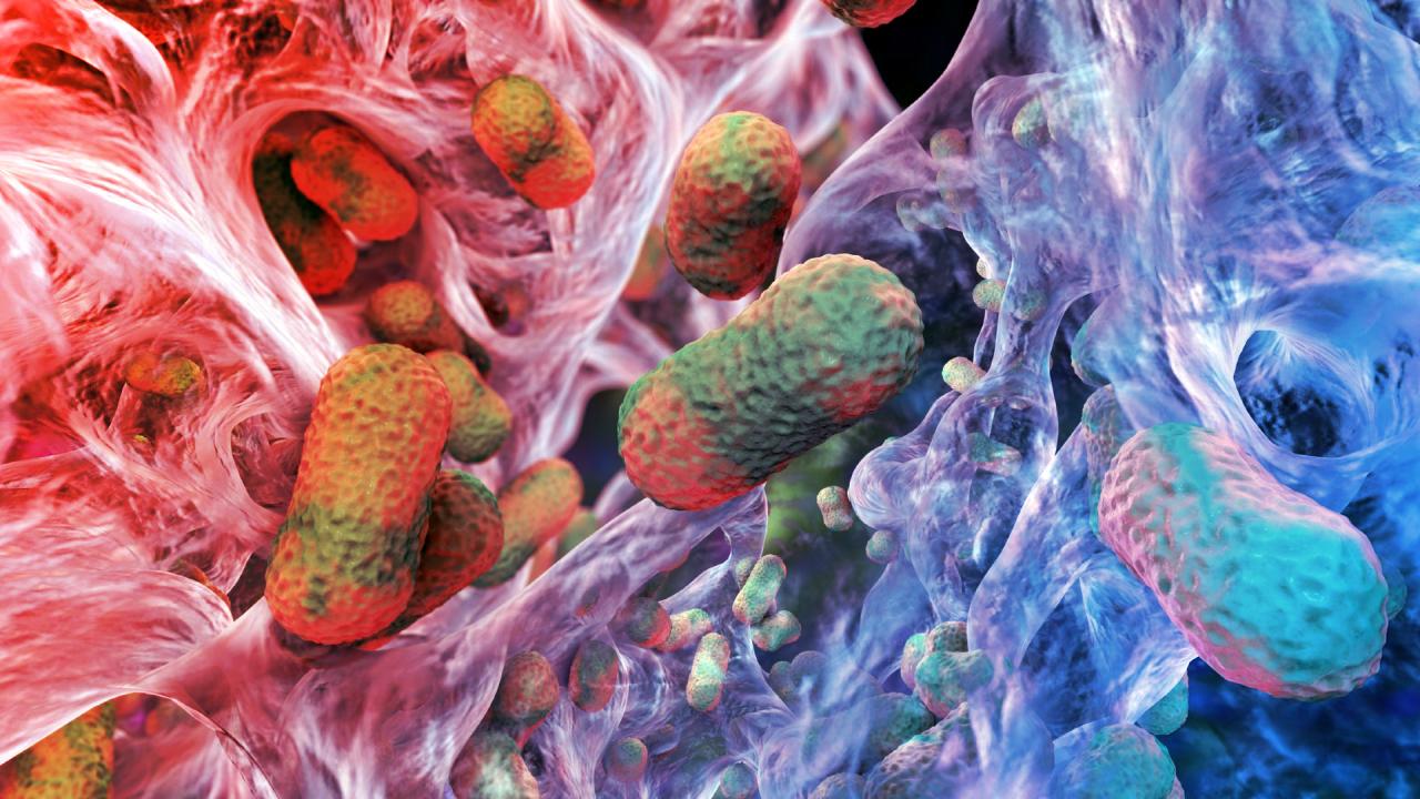 Az antibiotikum-rezisztens baktériumok Achilles-sarka: áttörés született