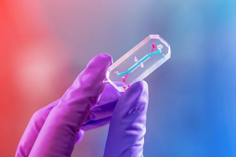 Az Artemis II kísérlete örökre átírhatja az űrorvoslást